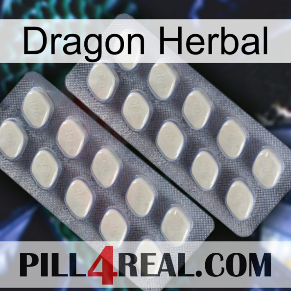 Dragon Herbal 07.jpg